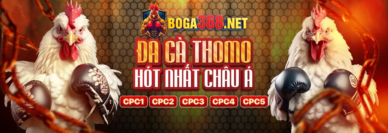 Tổng quan bàn chơi Baccarat với các lá bài và chip